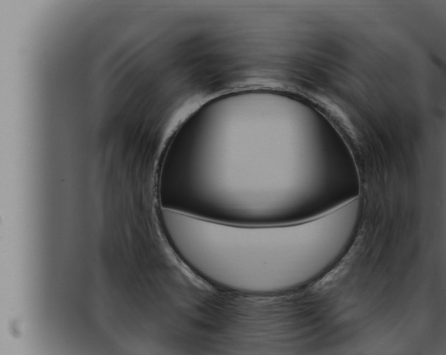 X0000093471373200710121002