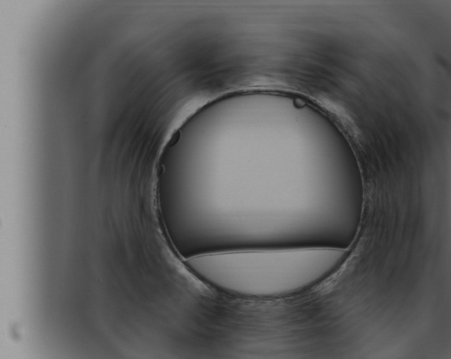 X0000093471374200710121002