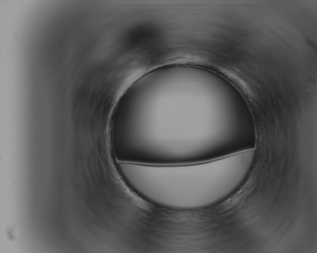 X0000093471375200710121002