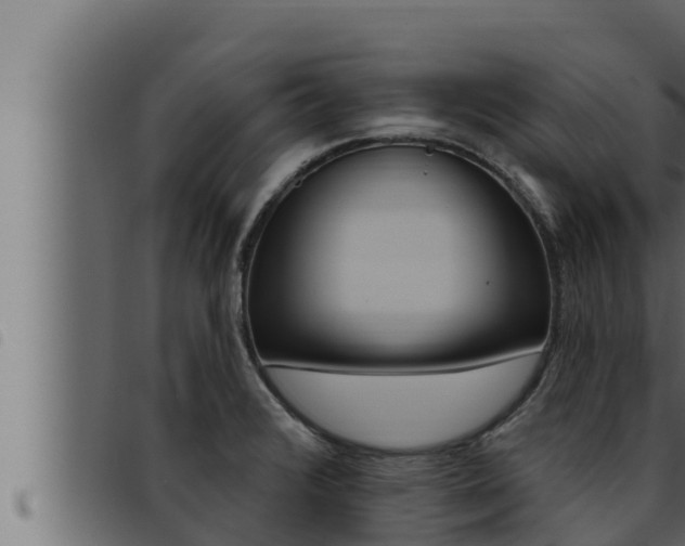 X0000093471376200710121002