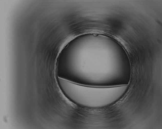 X0000093471379200710121002