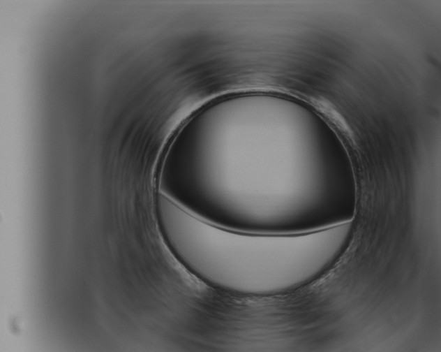 X0000093471380200710121002