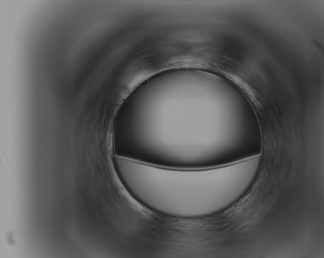 X0000093471383200710121002