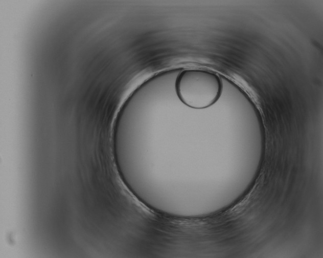 X0000093471384200710121002