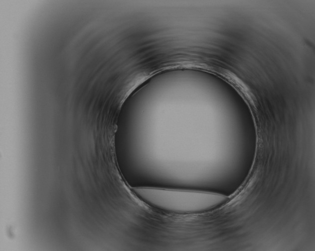 X0000093471385200710121002