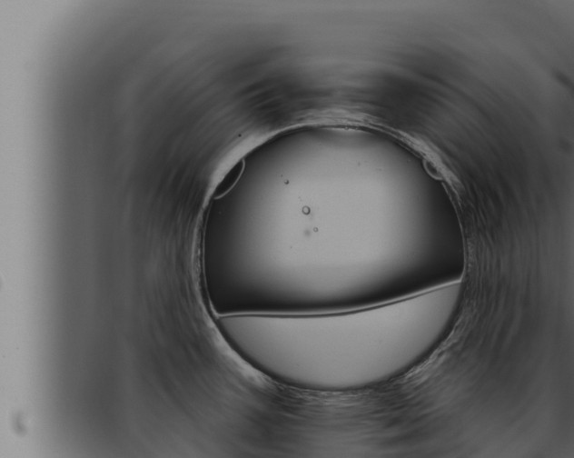 X0000093471387200710121001