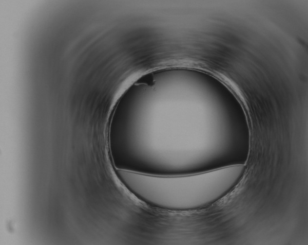 X0000093471389200710121001