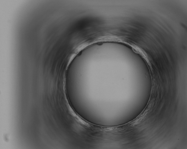 X0000093471390200710121001