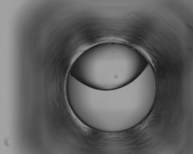 X0000093471391200710121001