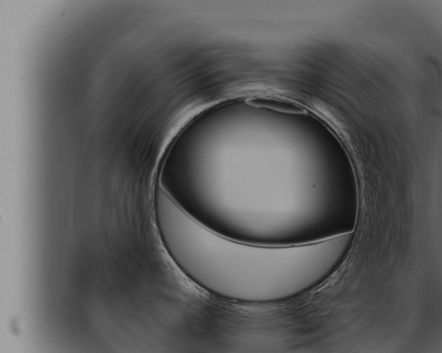 X0000093471392200710121001