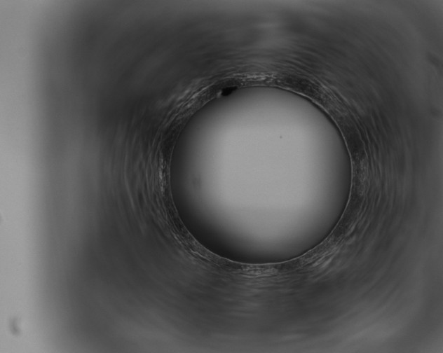 X0000093471394200710121001