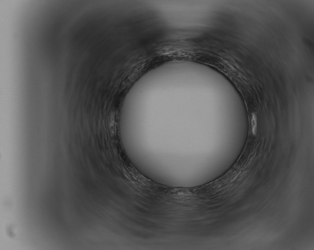 X0000093471395200710121001