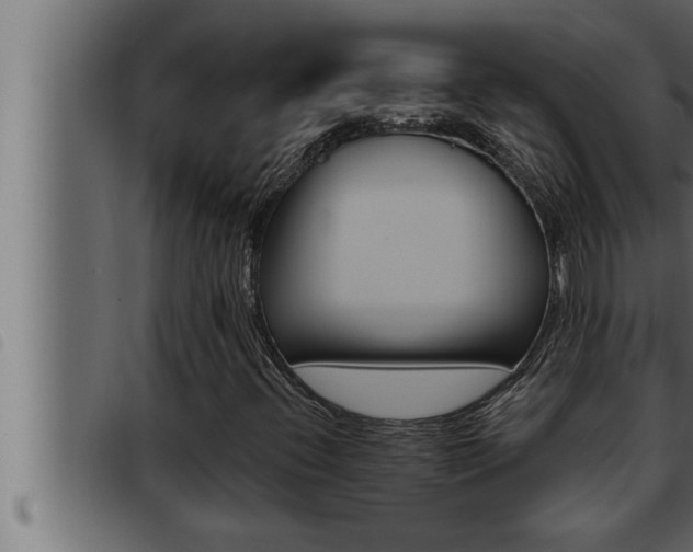 X0000093471396200710121001