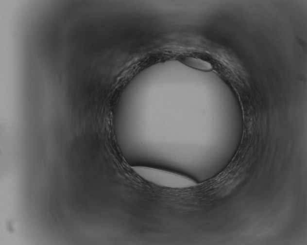 X0000093471397200710121001