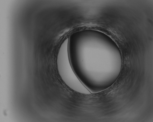 X0000093471398200710121001