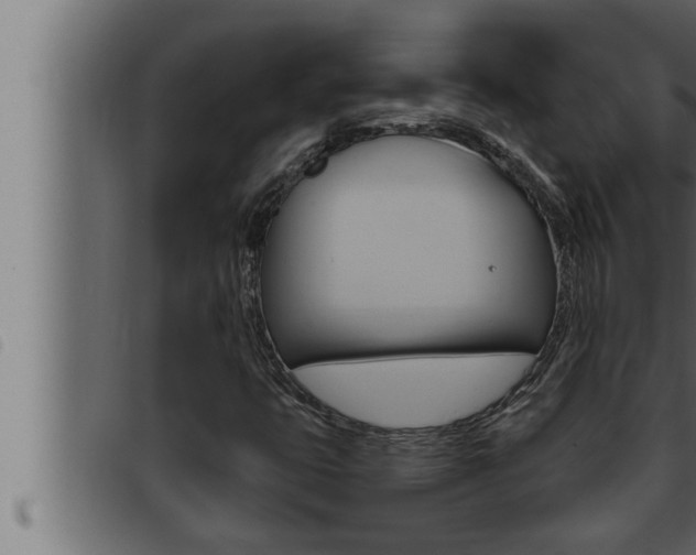 X0000093471399200710121001