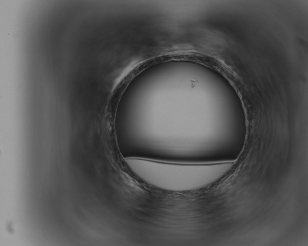 X0000093471400200710121001