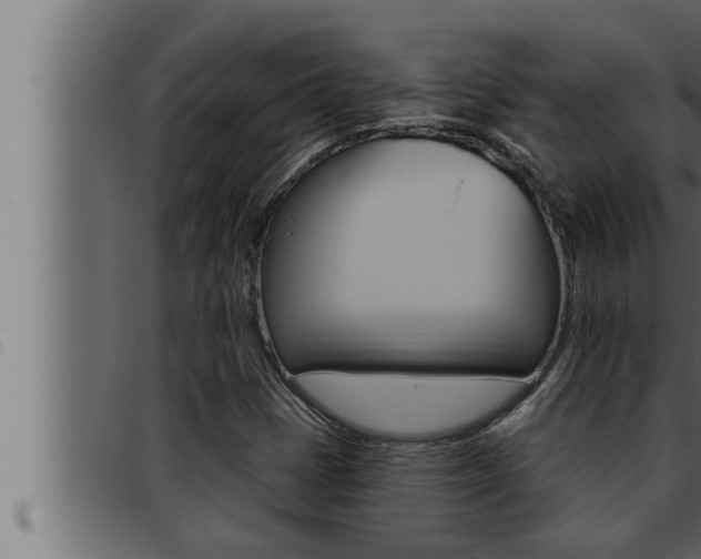 X0000093471401200710121001