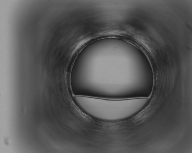 X0000093471404200710121001