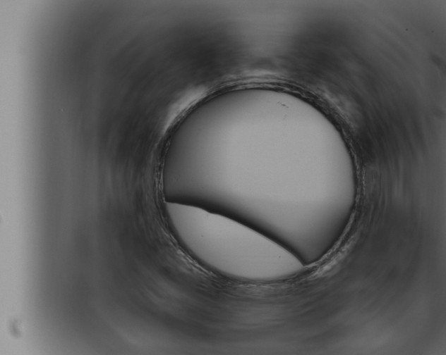 X0000093471405200710121001