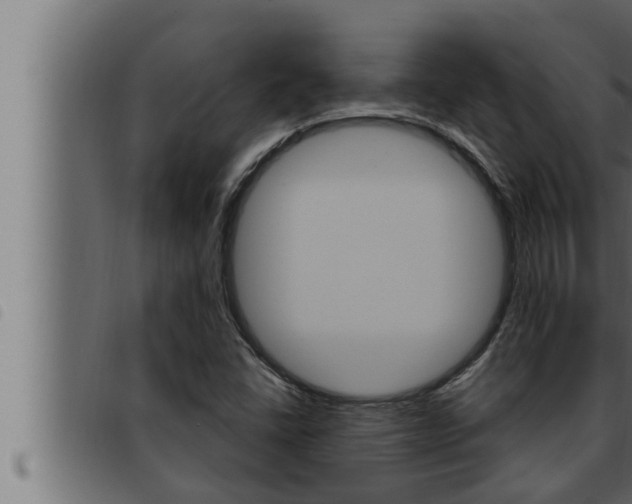 X0000093471406200710121001