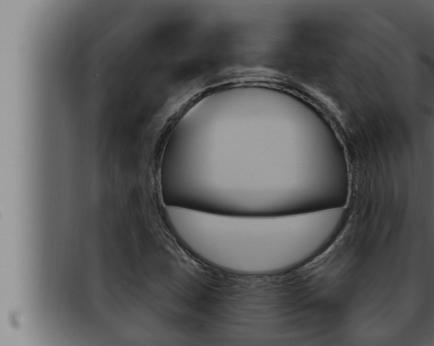X0000093471407200710121001
