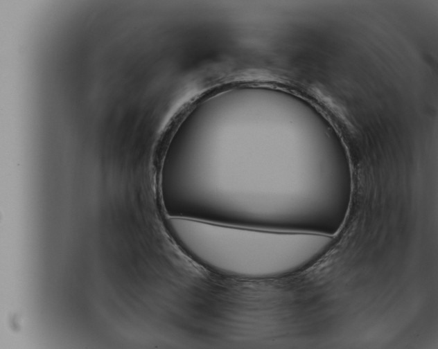 X0000093471408200710121001