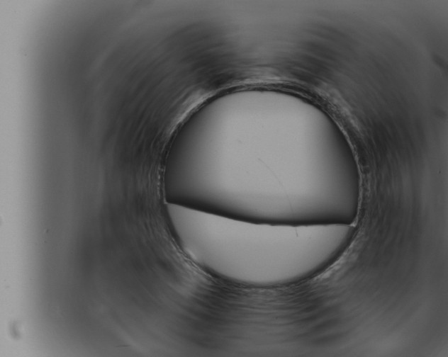 X0000093471409200710121001