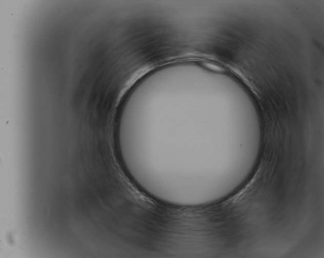 X0000093471410200710121001