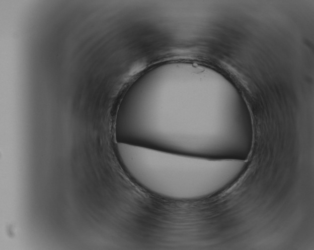 X0000093471411200710121001