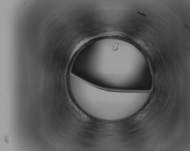 X0000093471412200710121001