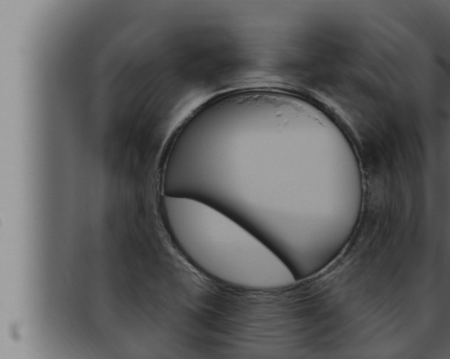 X0000093471415200710121001