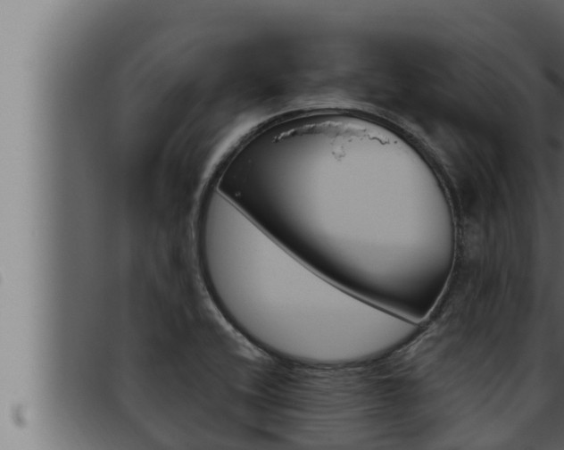 X0000093471416200710121001