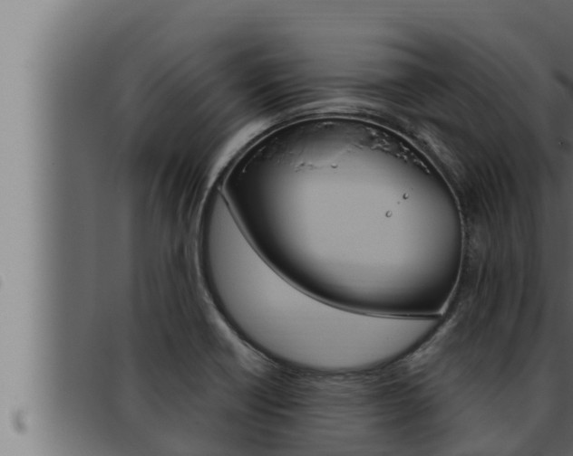 X0000093471418200710121001