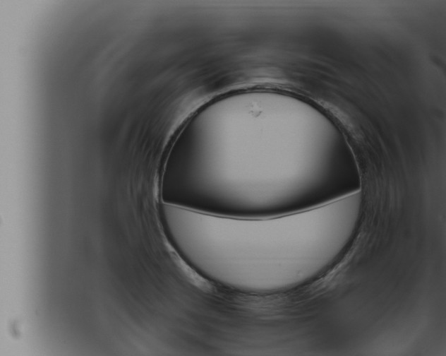 X0000093471420200710121001