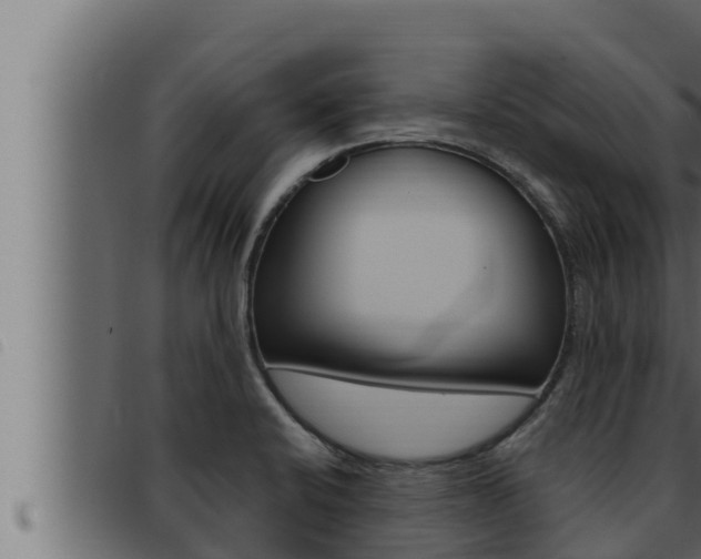 X0000093471424200710121001