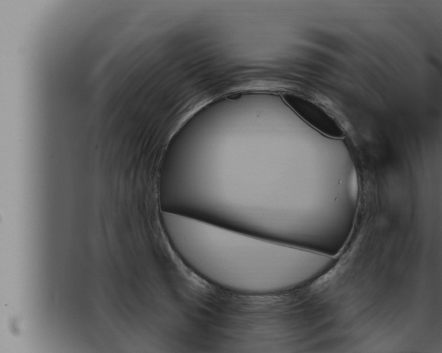 X0000093471425200710121001