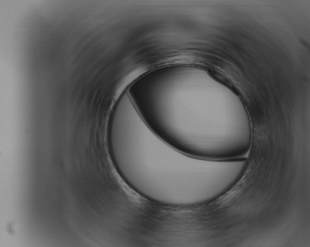 X0000093471426200710121001