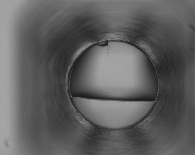 X0000093471427200710121001