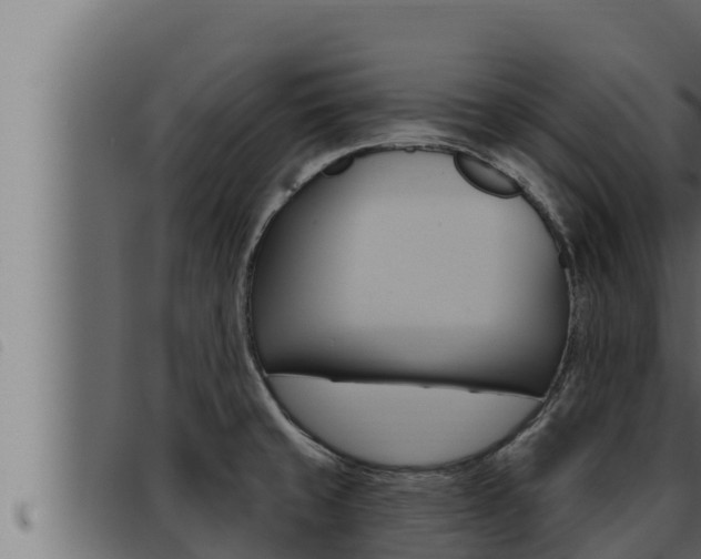 X0000093471429200710121001