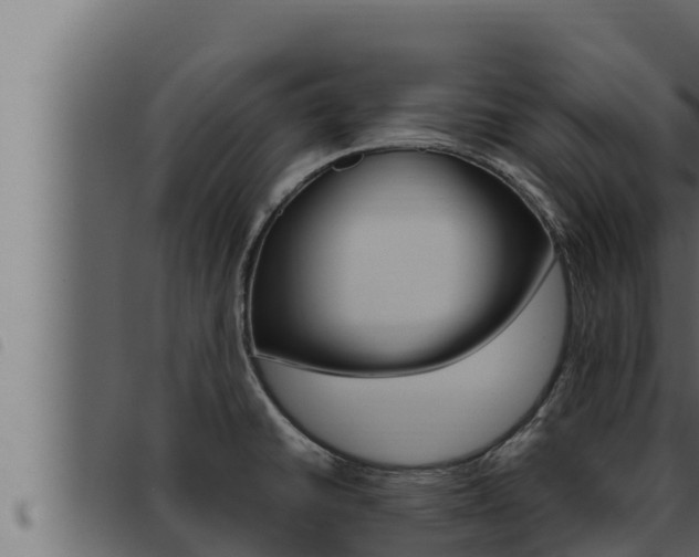X0000093471430200710121001
