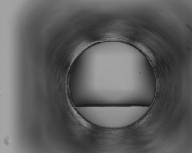 X0000093471431200710121001
