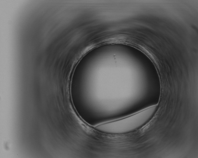 X0000093471434200710121001