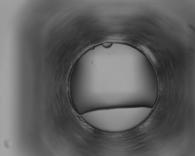 X0000093471435200710121001