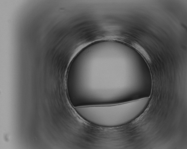 X0000093471436200710121001