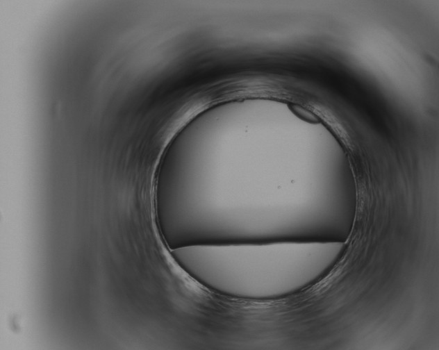 X0000093471439200710121001