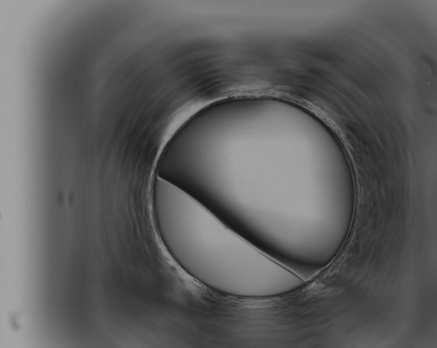 X0000093471440200710121001