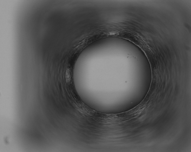X0000093471442200710121001