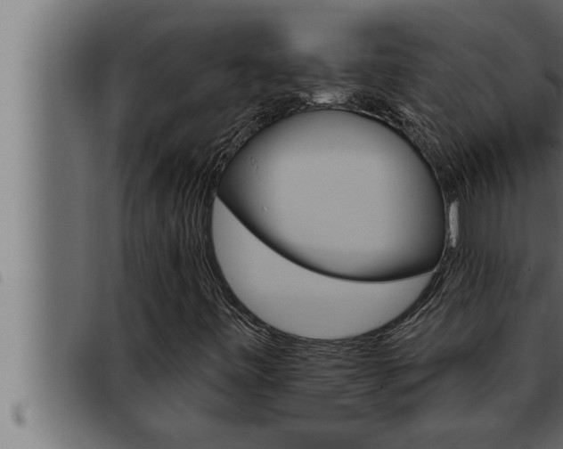 X0000093471443200710121001