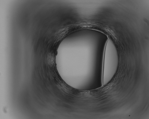X0000093471444200710121001